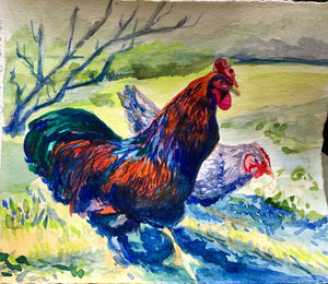 Rooster in watercolor 