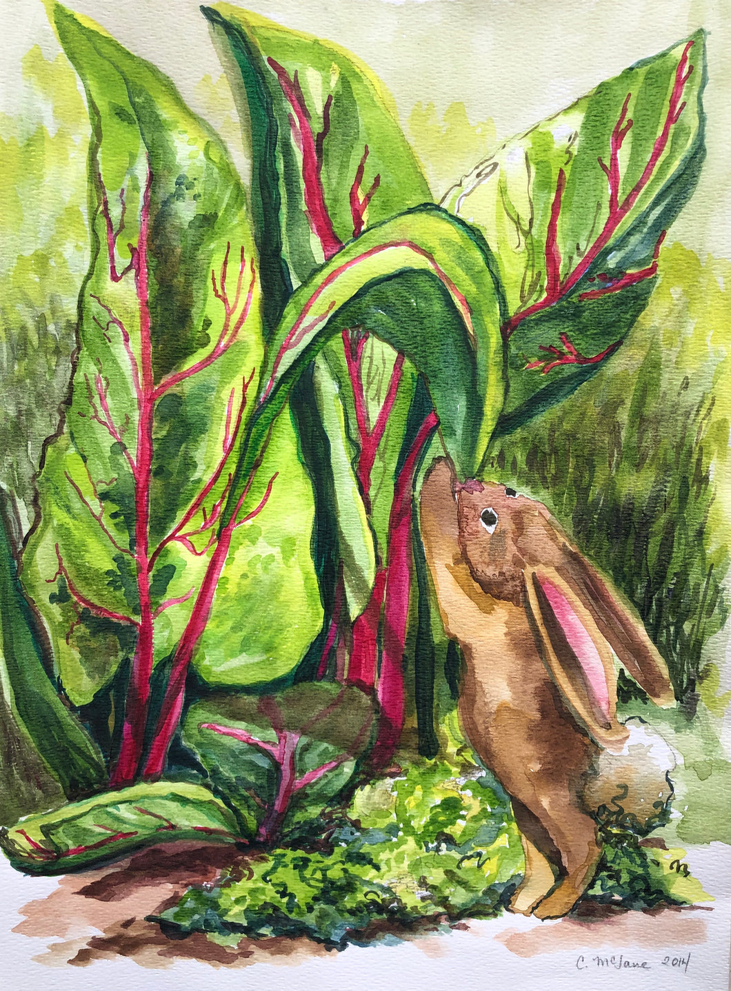 Bunny in the Chard, 2014