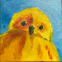 Cargar imagen en el visor de la galería, Golden Warbler
