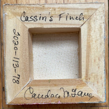 Cargar imagen en el visor de la galería, Cassin’s Finch
