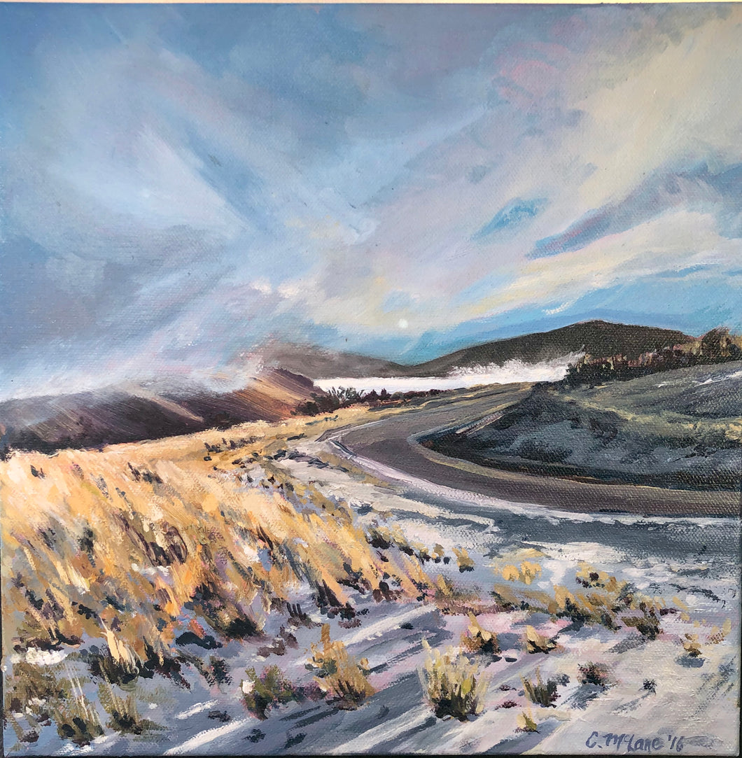 Snow in the Canyon, Route 189,   2016